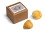 Silk Sea Sponges, Gift Box