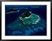 Aerial View of Melanesian Islands Framed Art Poster Print by James L. Stanfield, 39x31