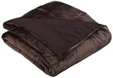 Aeolus Down Microplush Down Alternative Throw, After Dark