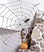 Glowing 5' Rope Spider Web