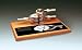 Five times life-size Replicates segment of upper thoracic spinal cord Mounted on hardwood base