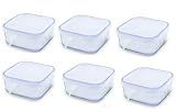 Set of 6 Medium Storage Bormioli Rocco Frigoverre Serving Glass Container with Plastic Lid - 4 Square