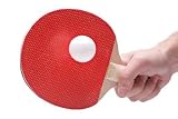 Table Tennis Player Isolated on White Background - 24