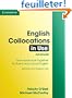 English Collocations in Use: Advanced