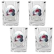 NHL Colorado Avalanche 4-Piece Square Shot Glass Set