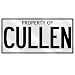 NEW  PROPERTY OF CULLEN  LICENSE PLATE SIGN NAME