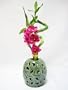 9GreenBox - Live Spiral 3 Style Lucky Bamboo Arrangement w/ Silk Orchid Green Hand Craft Ceramic Vase