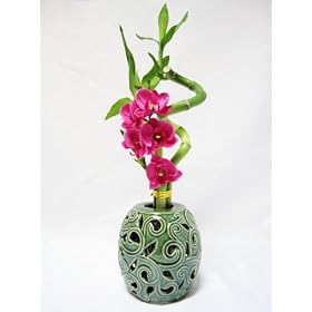 9GreenBox - Live Spiral 3 Style Lucky Bamboo Arrangement w/ Silk Orchid Green Hand Craft Ceramic Vase