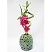 9GreenBox - Live Spiral 3 Style Lucky Bamboo Arrangement w/ Silk Orchid Green Hand Craft Ceramic Vase