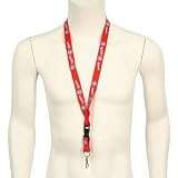 Washington Nationals Removable Key Chain / Lanyard Combo Set