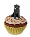 Newfoundland PUPCAKE Stone Resin Trinket Box
