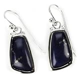 Barse Sterling Silver Abstract Lapis Earrings