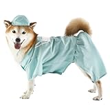 Pet Doctor Costume - Aqua