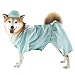 Pet Doctor Costume - Aqua