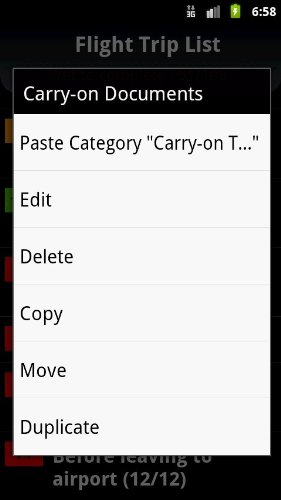 Image #4 of Flight Trip Checklist
