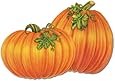 Beistle 4-Pack Decorative Packaged Pumpkin Cutouts, 16-Inch
