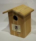Songbird Essentials SESC1035C Screech Owl Bird House