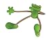 Magnetic Spider Frog