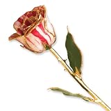 Long Stem 24k Dipped Gold Trim Peppermint Rose With Gift Box