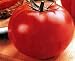 Big Beef Hybrid Tomato 45 Seeds - 1994 All-America Selection Winner