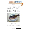 A New Selected Poems