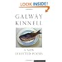 A New Selected Poems