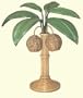 Palm Tree Table Night Light Lamp Rattan