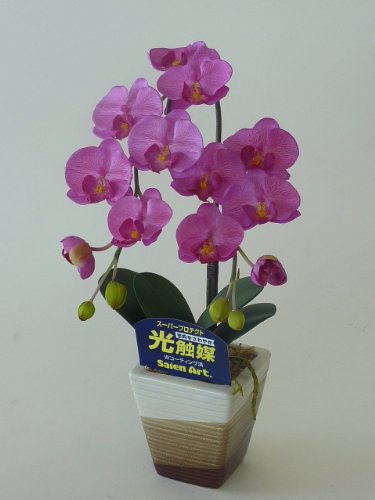 胡蝶蘭 真紅 Sサイズ 1本 光触媒造花の国内生産品 24時間効果持続のダブルコーティング 