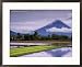 Mount Mayon Active Volcano Rising Above Rice Fields., Mt. Mayon, Albay, Philippines, Bicol Scenic Framed Photographic Poster Print by John Pennock, 26x22