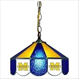 Wave 7 UMI-140 University of Michigan 14 Wide Swag Hanging Lamp