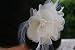 Small bridal ivory hair flower pin and brooch in organza with floral stamens and feathers