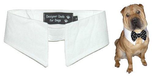 Calvin K-nine White Shirt Collar for Dogs Large