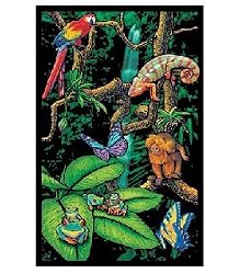 Rainforest Blacklight Poister