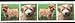 1 Yard 1 Norfolk Terrier Cotton Ribbon Trim
