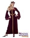 Womens Guinevere Costume (small or large)