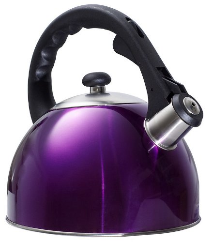 Purple Stainless Steel Shiny Tea Kettle Purple Stainless Steel Shiny Tea Kettle