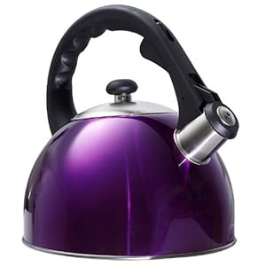 Purple Stainless Steel Shiny Tea Kettle