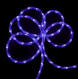 18 LED Purple Indoor/Outdoor Christmas Rope Lights