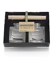 Clementine Juniper Mini Infusion Sticks Gift Set
