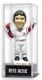 Bobblehead Case