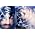 Thumbnail image of Crystal Castles