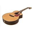 NEW Acoustic / Electric GUITAR w Dove Inlays Single Cut