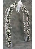 41wIYs%2BExjL. SL160  Davids Bridal Lighted Wedding Arch Style 520906DB