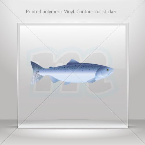 Decal Stickers Trout car Boat Vehicle ATV jet-ski Garage door 6 X 1.9 Inches Vinyl color print 0600 XRZE2