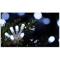 Snow White Battery Operated 20 LED Lights, White