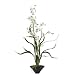 New Nearly Natural Oncidium w/Black Ceramic Vase 33 in Realistic Look Attractive Wonderful White