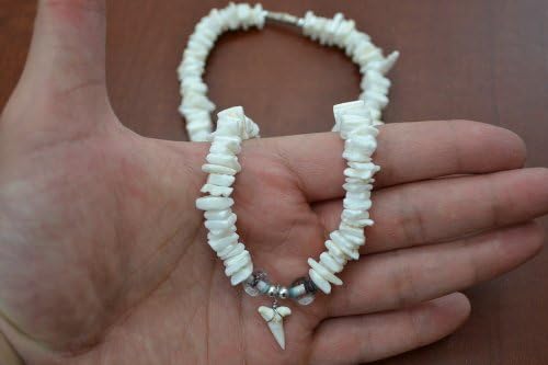 White Puka Shell Necklace with Shark Tooth 3/8"