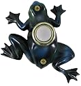 Company's Coming DBP-008 Frog Painted Doorbell Cover