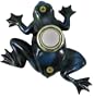 Company's Coming DBP-008 Frog Painted Doorbell Cover