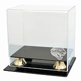 Jacksonville Jaguars Coach's Choice Mini Helmet Display